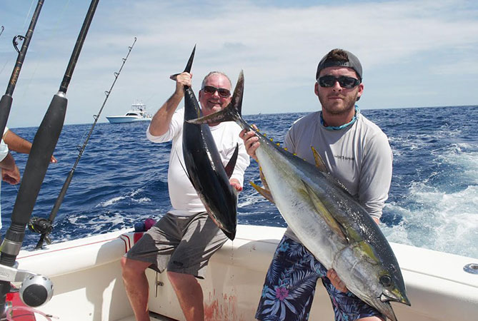Yellowfin Tuna Vacation